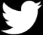 Twitter link